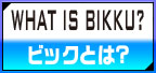 what is BIKKU?